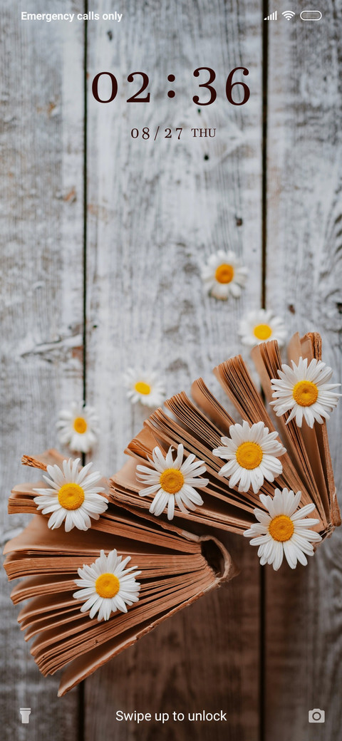 Daisies_3MDS preview
