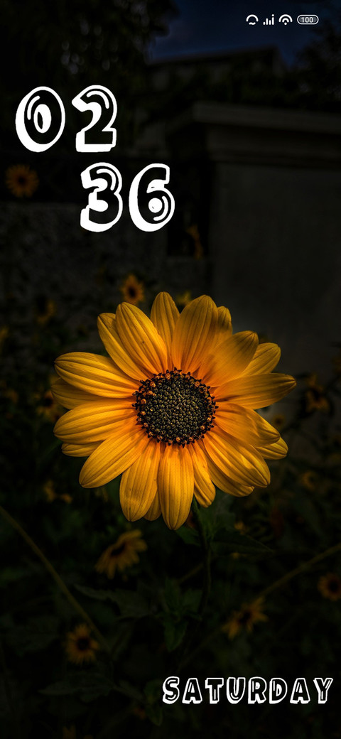 Dark preview