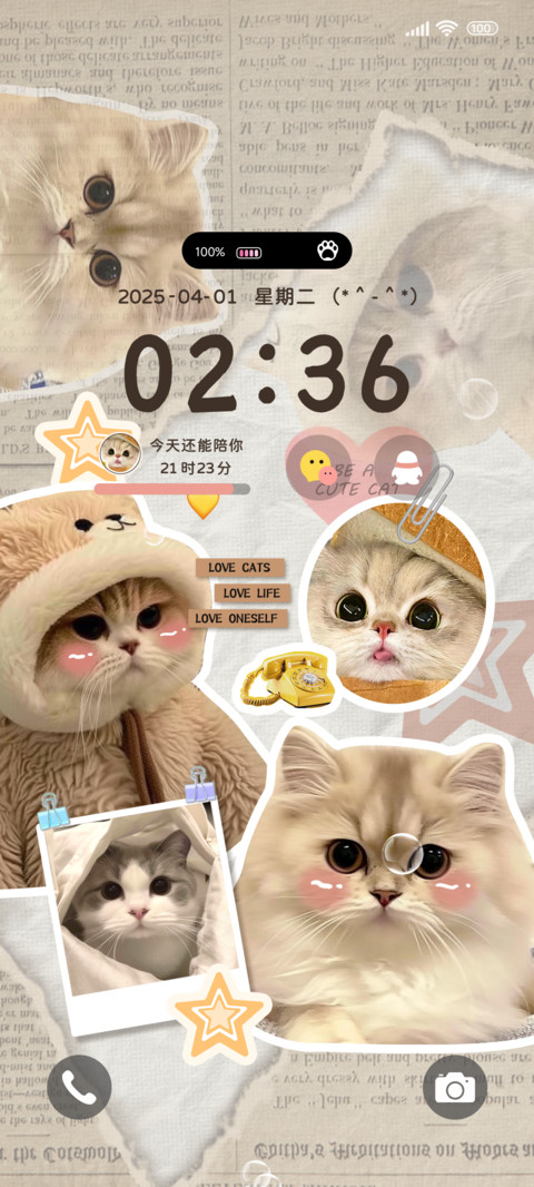 ins可爱趴趴猫 preview