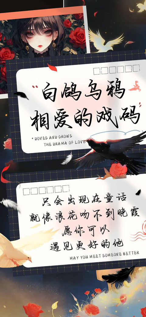 白鸽乌鸦相爱的戏码 preview