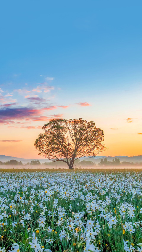 Incredible sunrise at Narcissus Valley preview