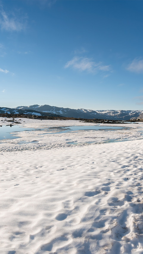 The devils tongue of norway preview