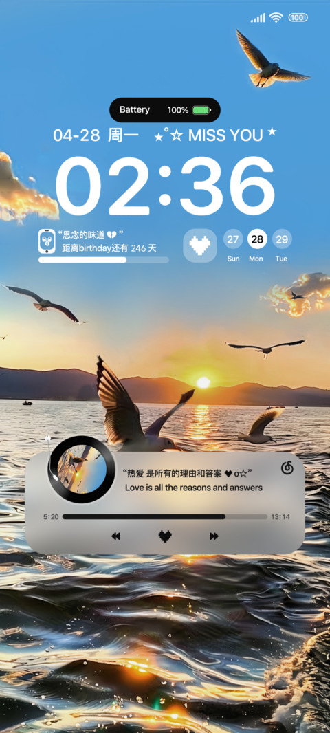 Ins落日与海鸥 preview