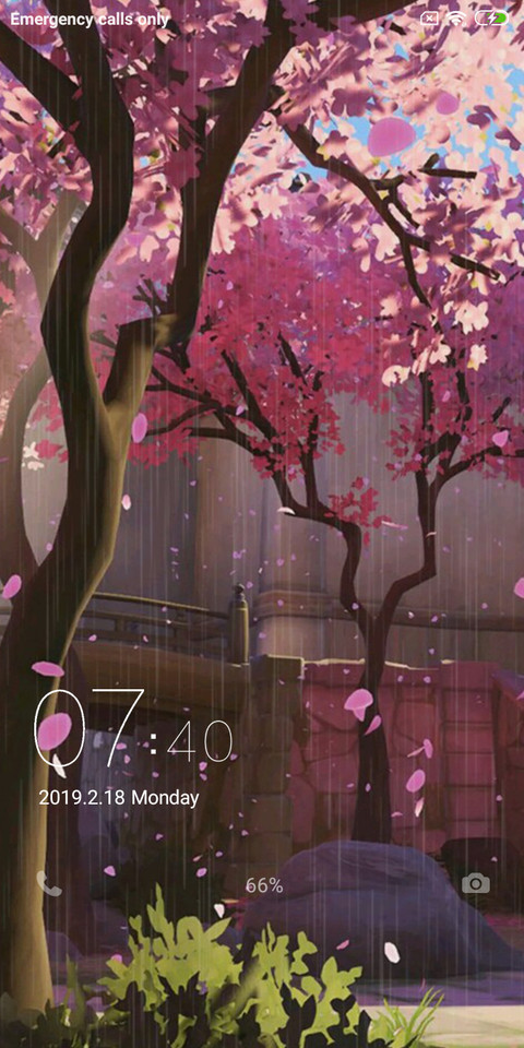  Colorful leaves preview
