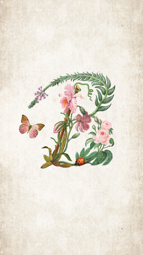 Bsen插画作品 preview