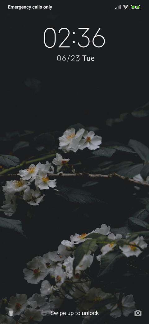 White Flower_3MDS preview