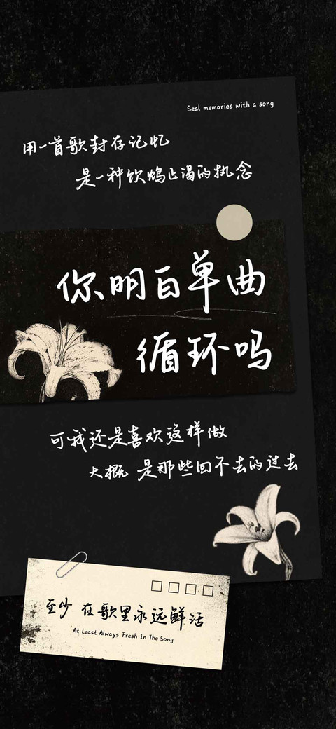 你明白单曲循环吗 preview