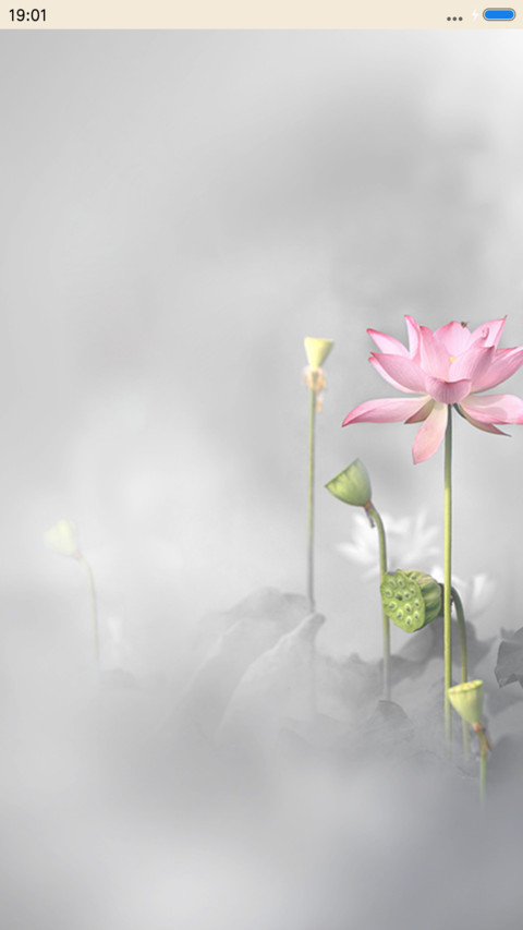 荷（下雨特效） preview