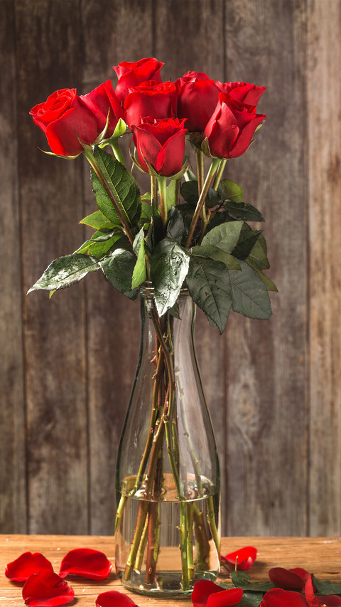 Why send roses on Valentines day 20 preview