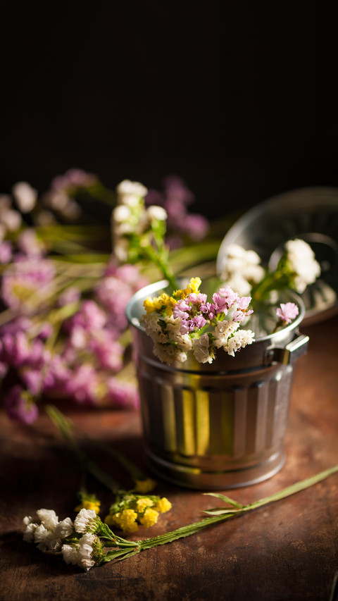 Statice Flower - Limonium with low key scene preview