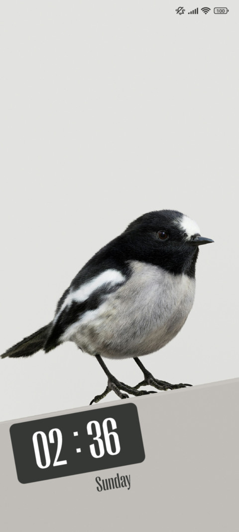 Bird preview