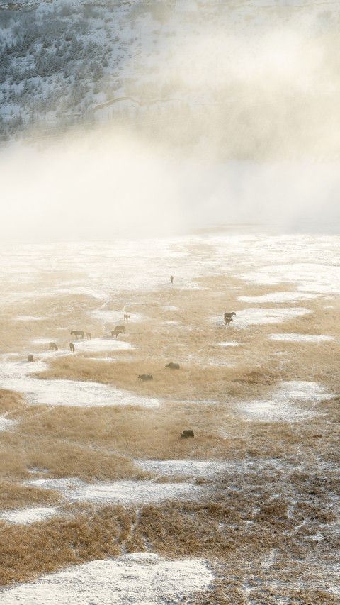 Shangri-La Morning Mist Pastoral Song preview