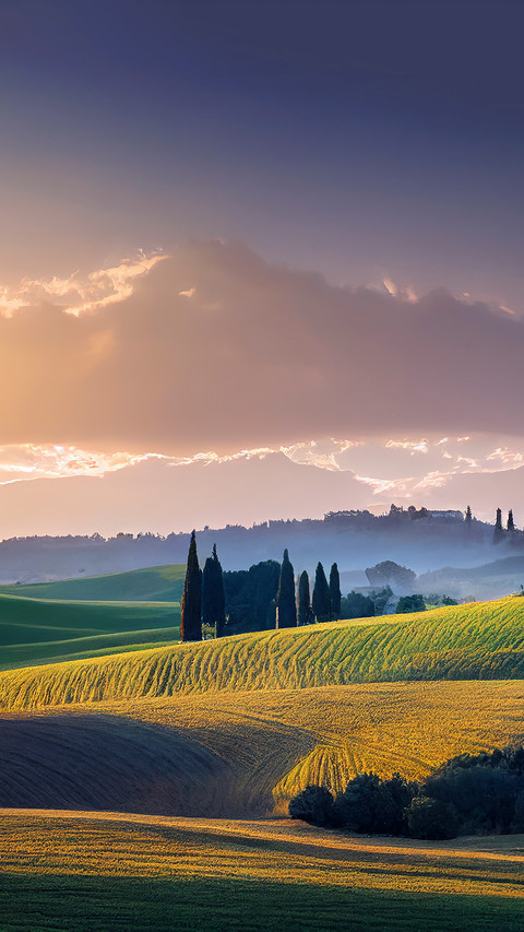 Tuscan rolling hills with cypresses and oak trees at sunset preview