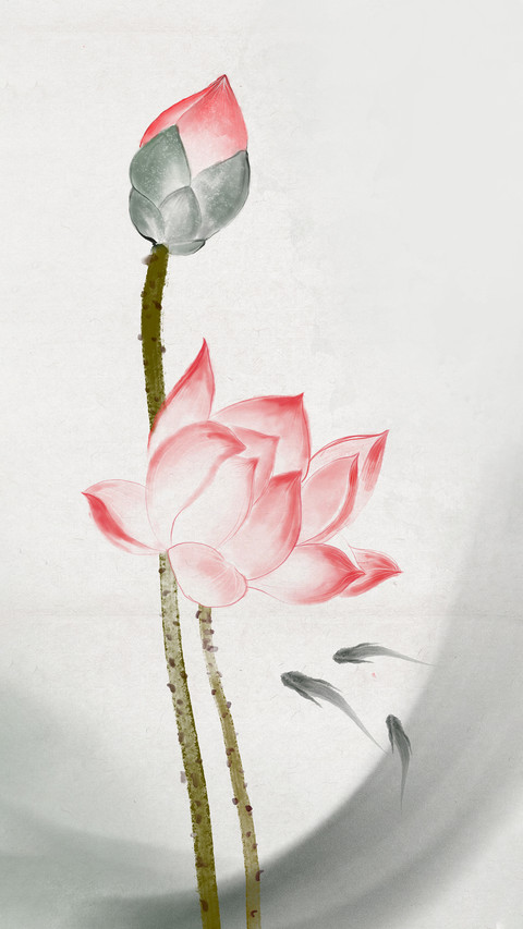 荷花全身都是宝 preview