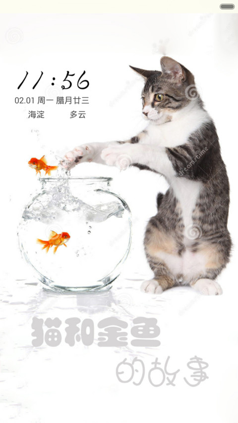 猫和金鱼 preview