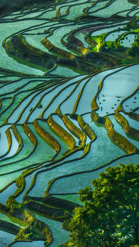 Terraced Landscape of Earth Sculpture 5 preview