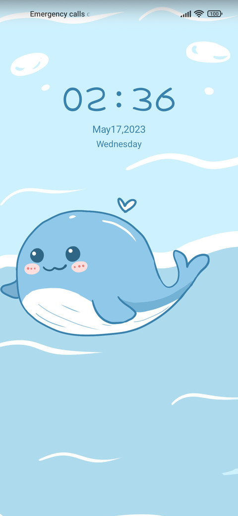Round whale preview