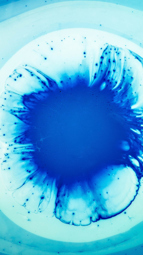 Watercolors (3) preview