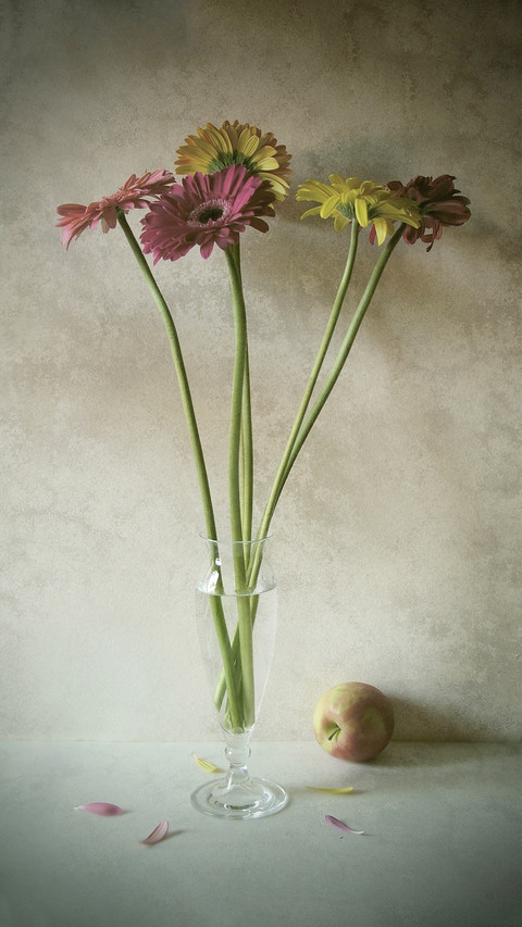 How to prolong the vitality of manual flower arrangement 3 preview