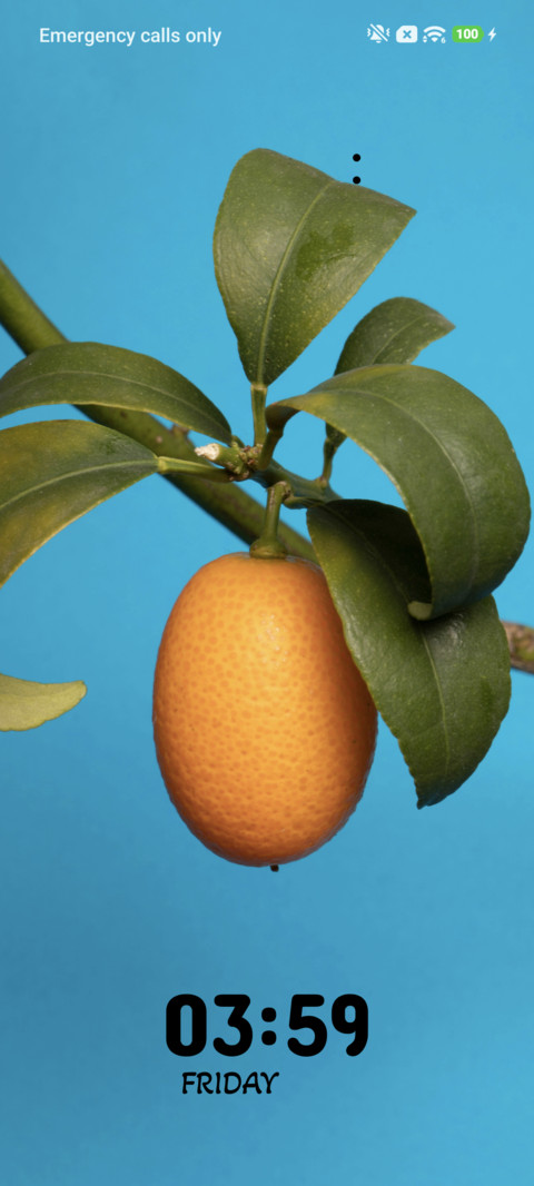 Citrus Glow preview