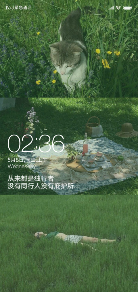 原谅绿 preview