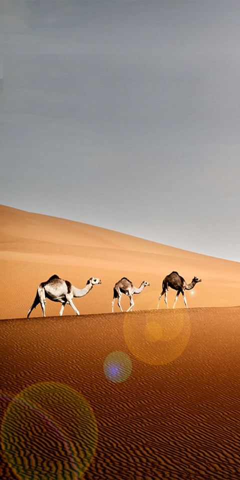Desert preview