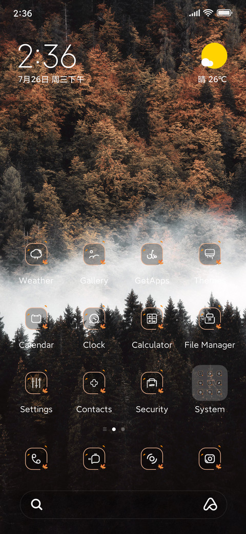 Autumn pine forest preview