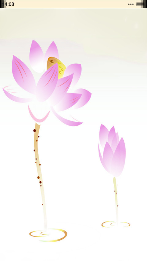 荷花情 preview