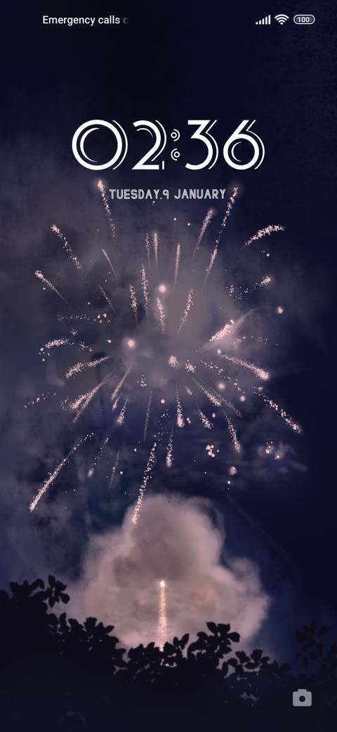 Fireworks preview