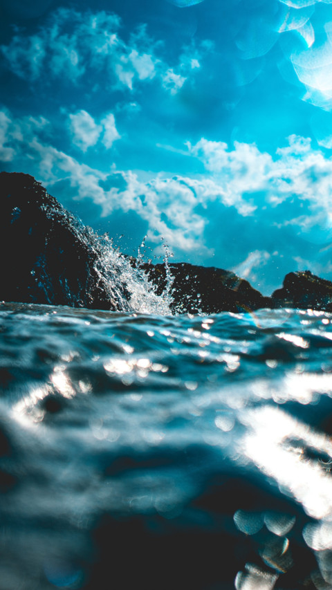 Oceans Day (4) preview
