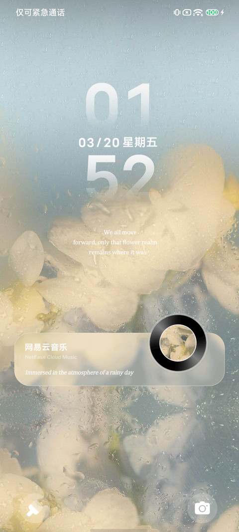 窗上的花雨季 preview