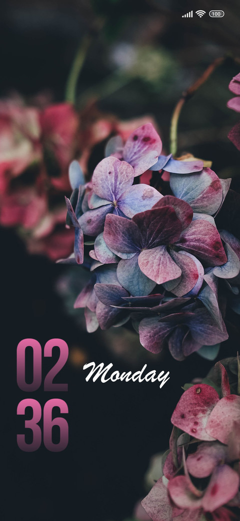 Flowers preview