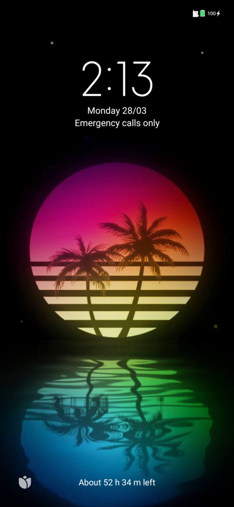 Red palm v12.5 preview