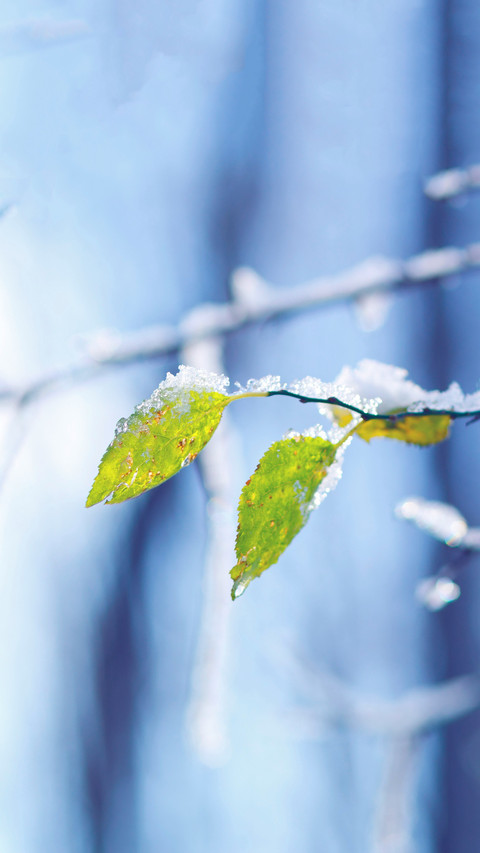 The meteorological station issued six consecutive preview