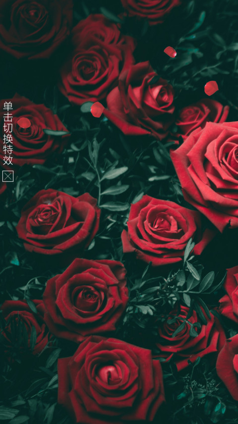 玫瑰花香 preview