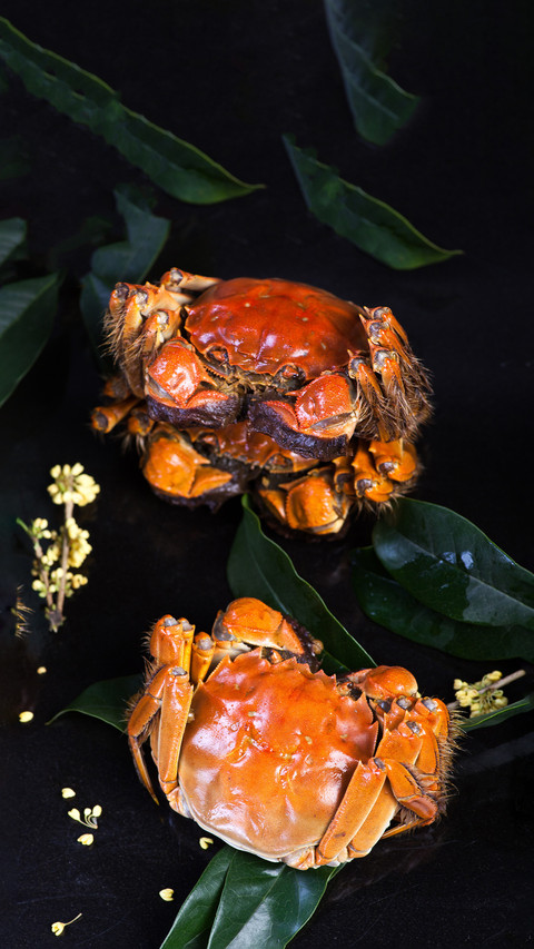 How to properly store crabs preview