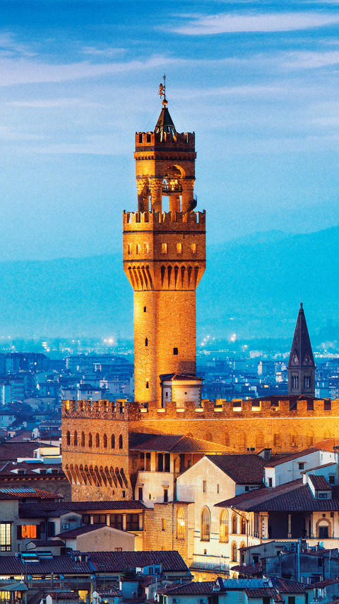 The night view of florence preview