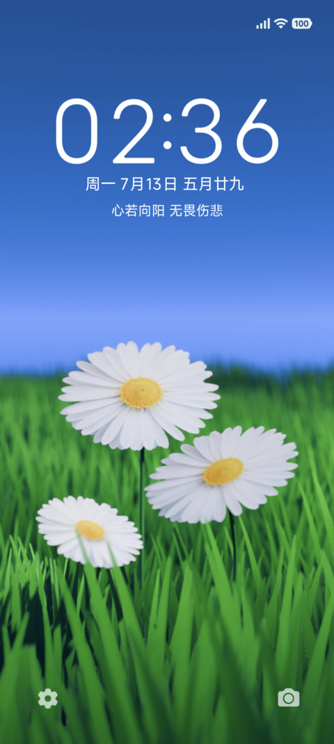 花开绿夏 preview