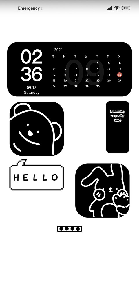 Black and white preview