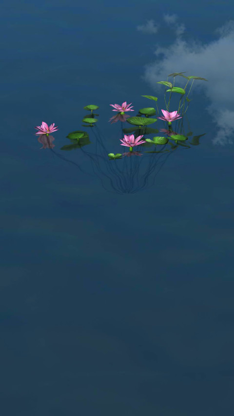水中莲花 preview