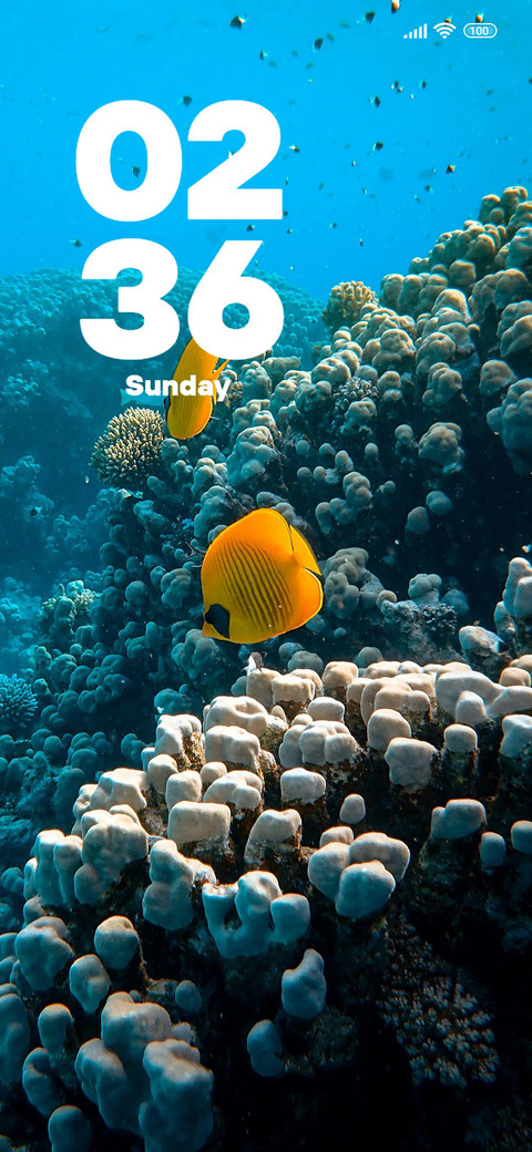 Sea preview