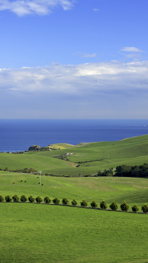 Scenery of Australian farms preview