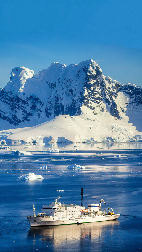 There are also plants in antarctica preview