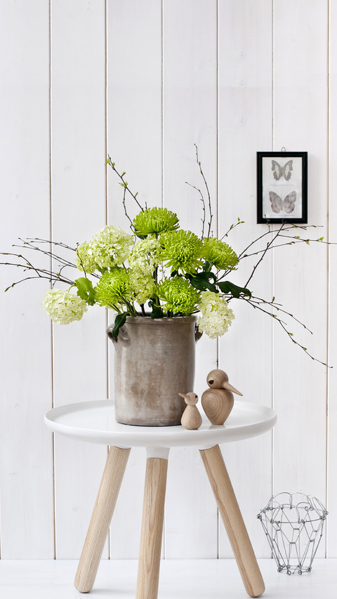 Misunderstanding of potted flower culture 71 preview