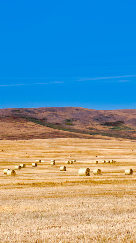 Prairie views of farmland in Southern Alberta Canada preview