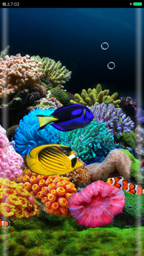 梦幻水族馆 preview