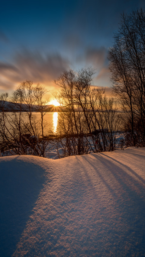 Early morning in norway preview