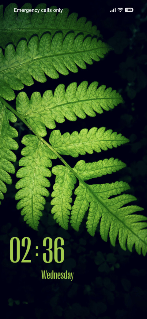 Green Leaf preview