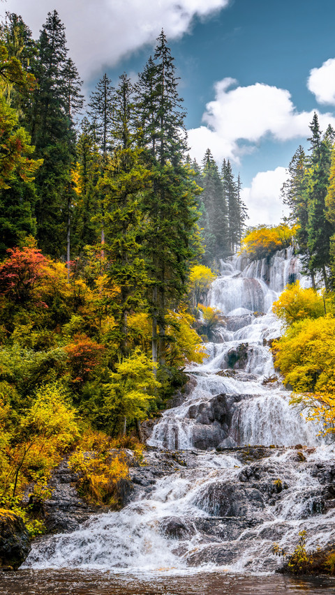Gannan Dayu Valley Colorful Forest Waterfall preview
