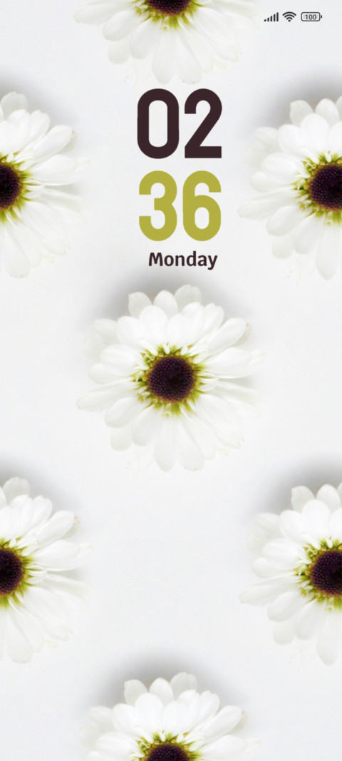 White Flowers preview